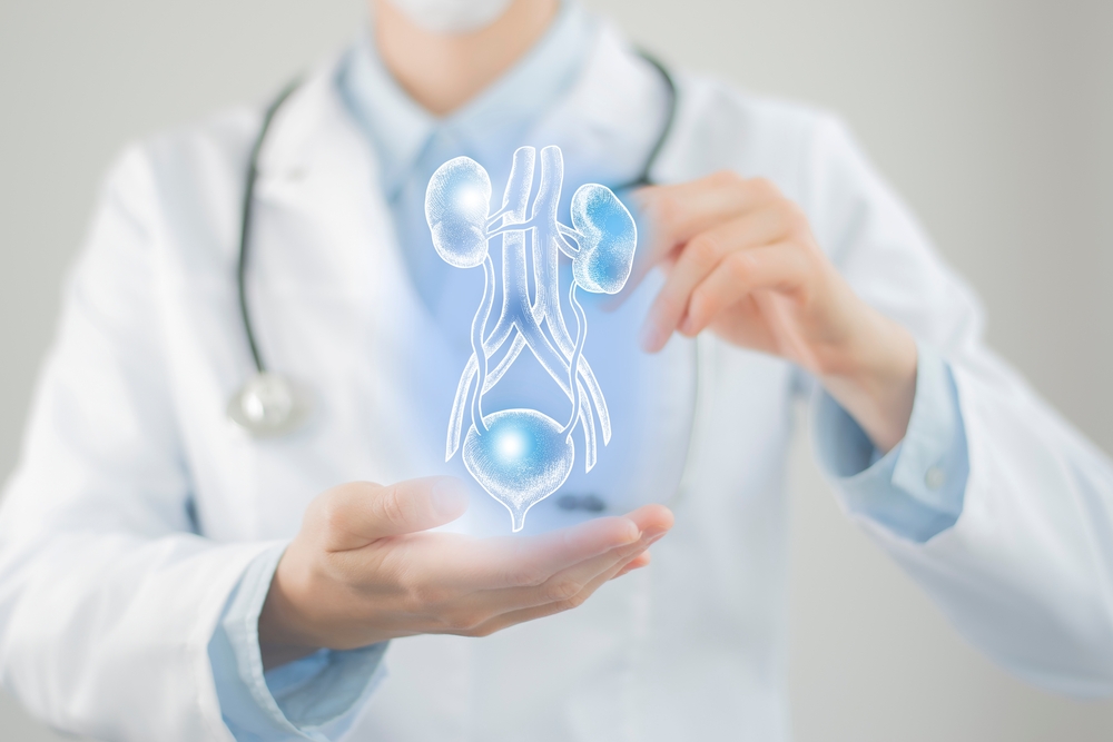 Female,doctor,holding,virtual,bladder,and,kidneys,in,hand.,handrawn